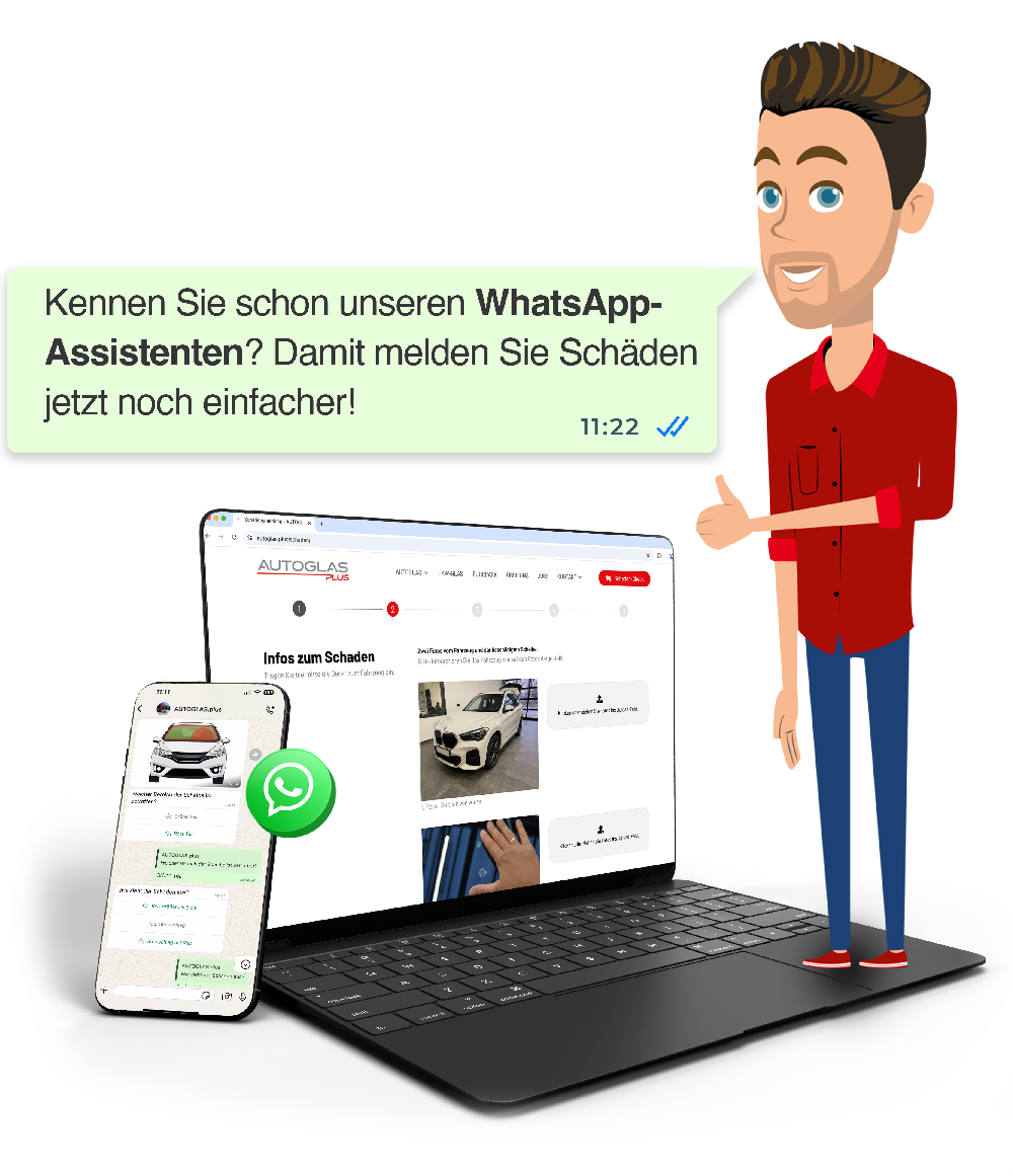 schaden-check-smartphone-desktop_mobil